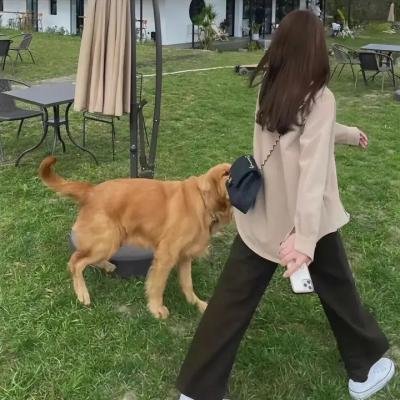父母的婚事