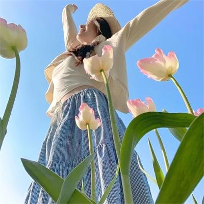 电视剧集